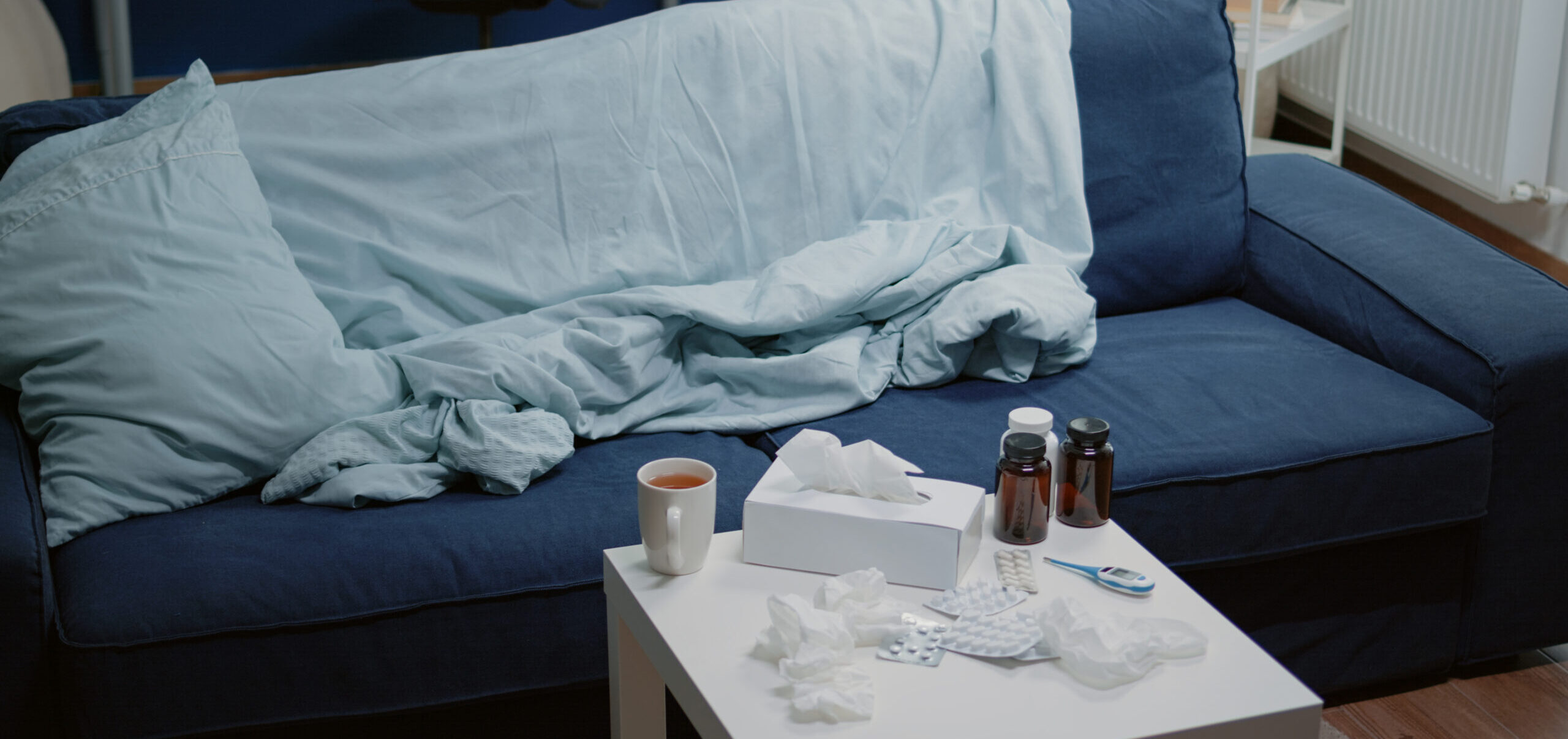 Residential Biohazard Services - Living Room Showing Biohazard Conditions