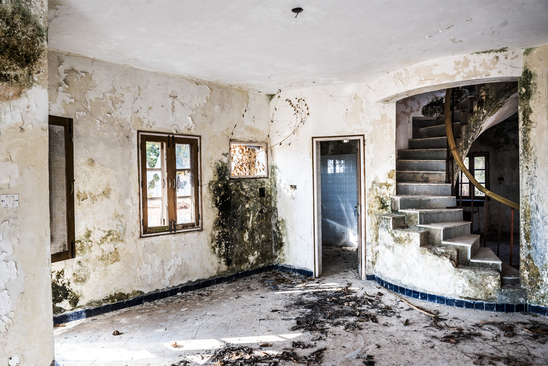 Abandoned property interior with severe water and mold damage awaiting restoration
