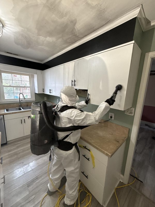 Kitchen mold remediation