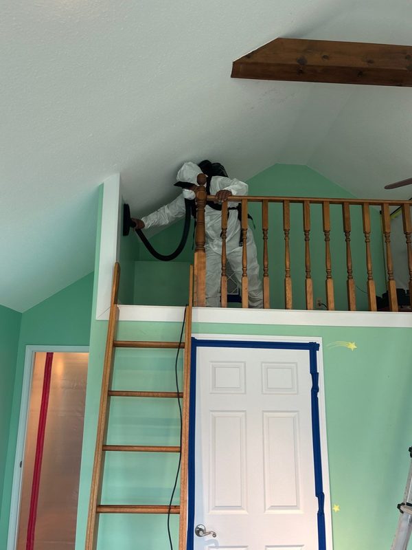 Loft mold removal and remediation