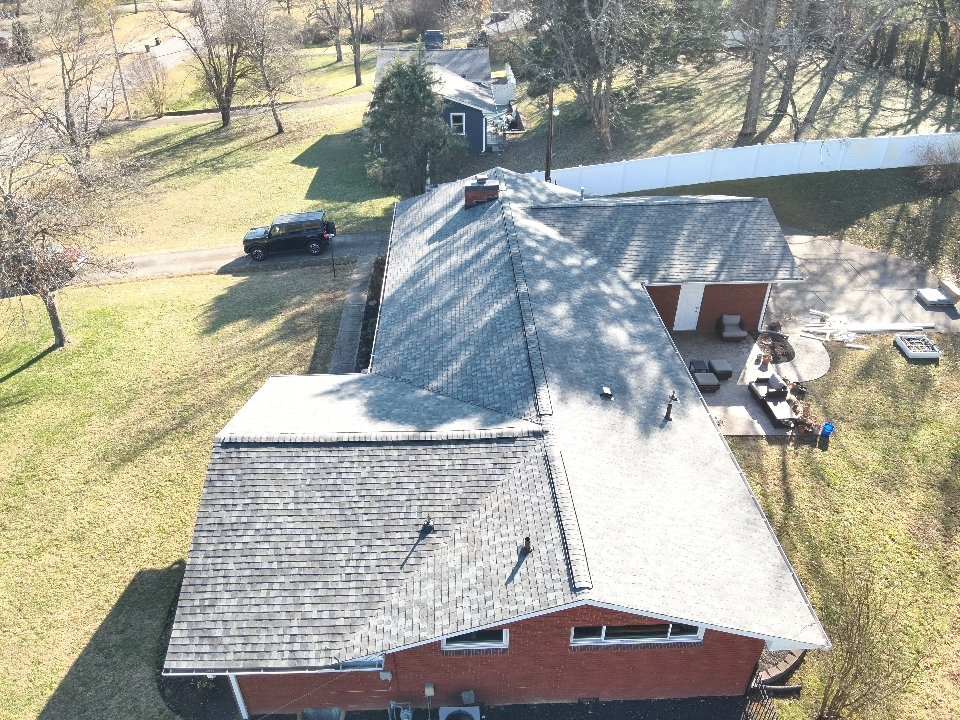 Professional roofing project